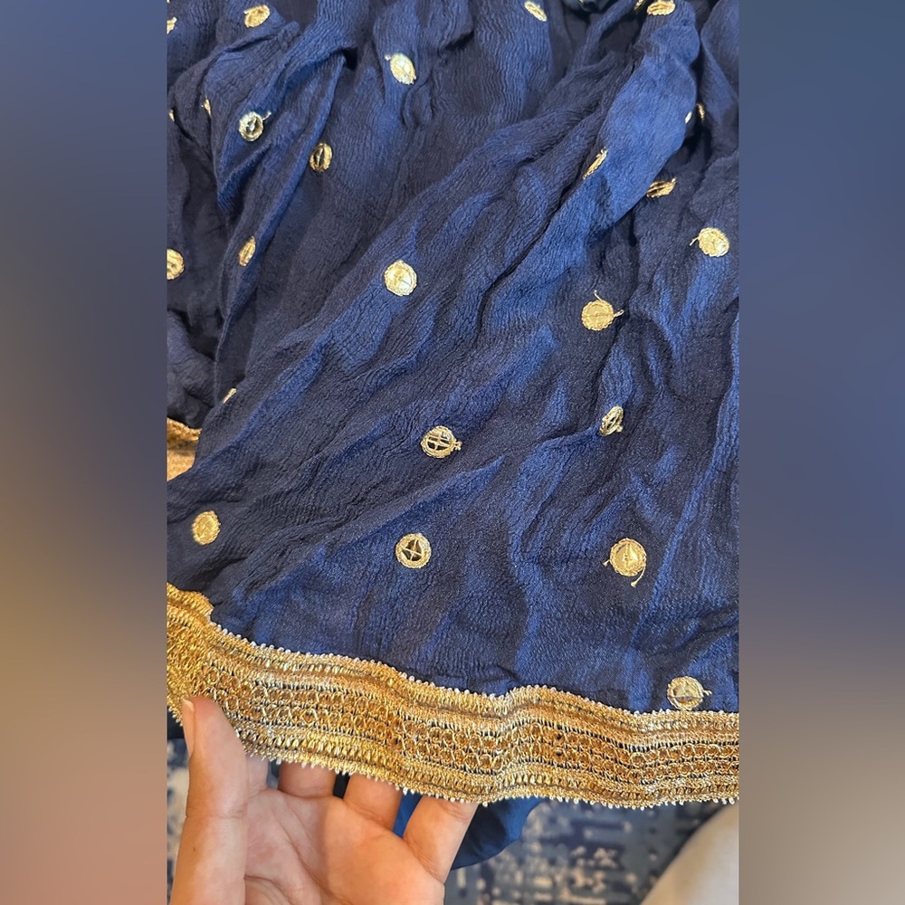 Mirror embellished navy blue lehenga with pink blouse - Picture 10 of 12